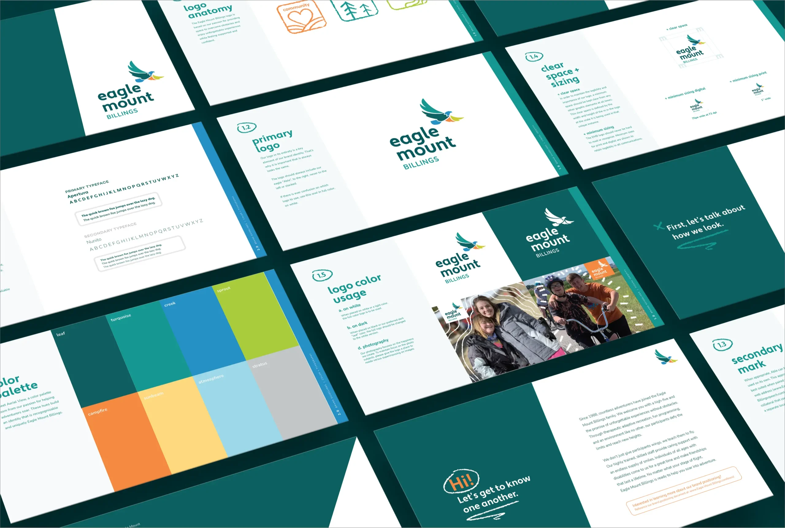 Eagle Mount Billings Rebrand Samples